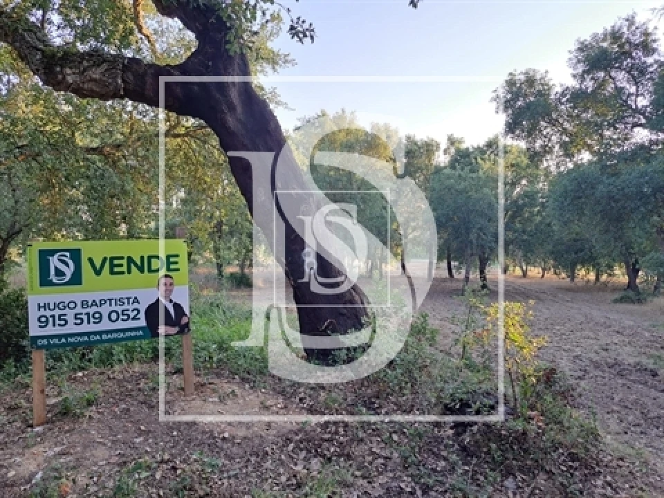 Terreno para Venda em Olaia e Paço Foto 8