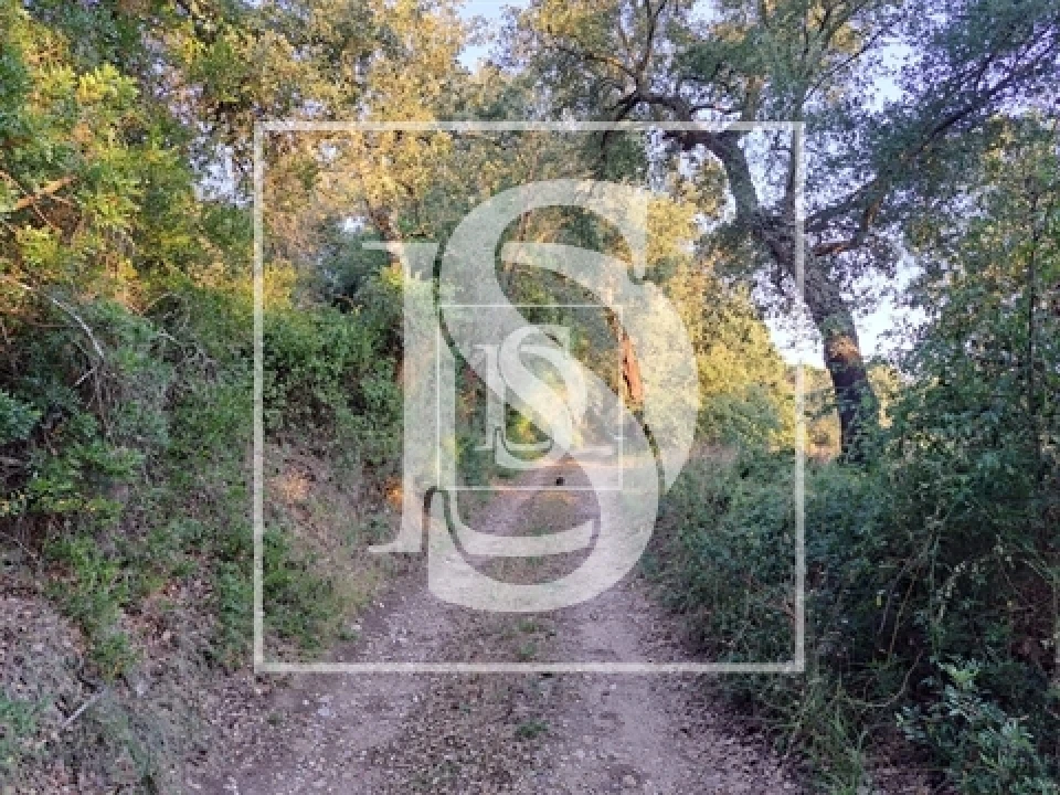 Terreno para Venda em Olaia e Paço Foto 9