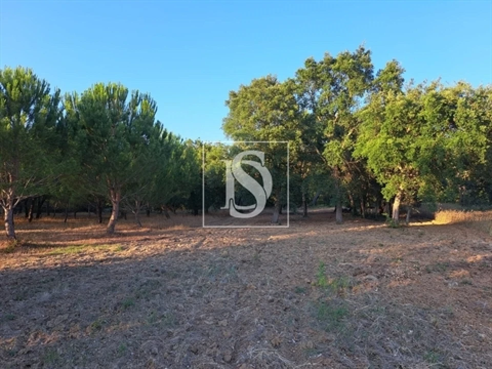 Terreno para Venda em Olaia e Paço Foto 1