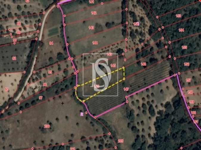 Terreno para Venda em Olaia e Paço Foto 3