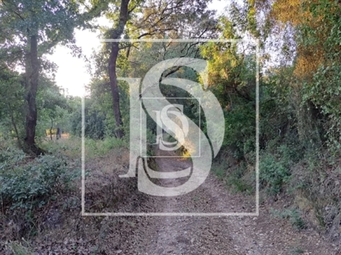 Terreno para Venda em Olaia e Paço Foto 6