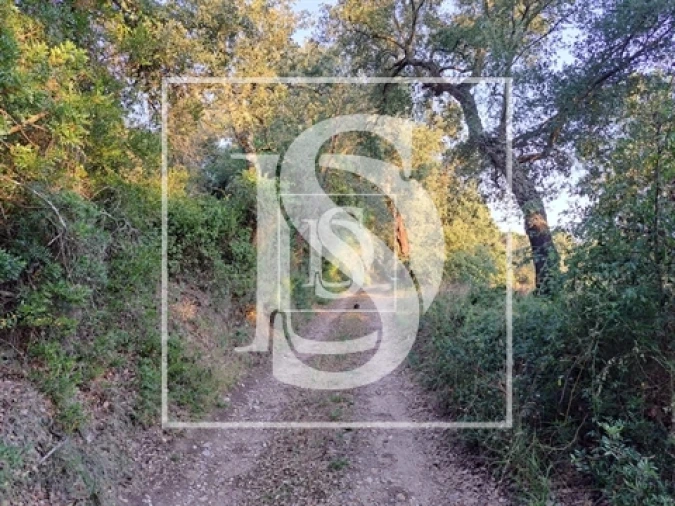 Terreno para Venda em Olaia e Paço Foto 9