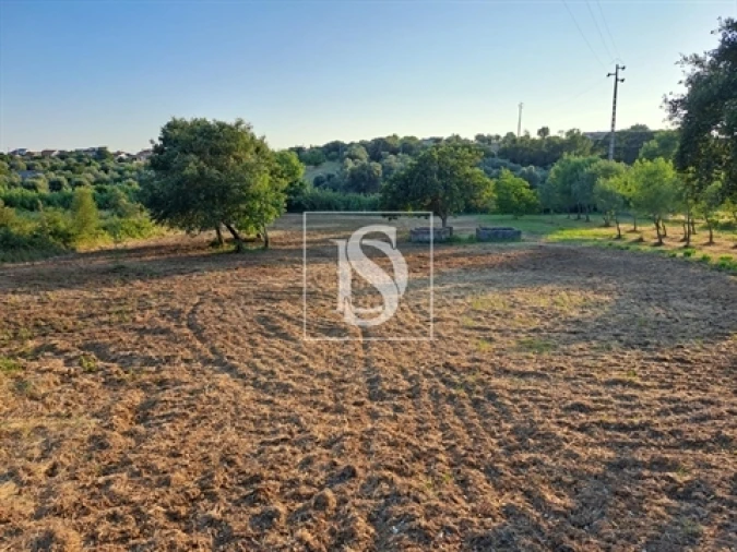 Terreno para Venda em Olaia e Paço Foto 7