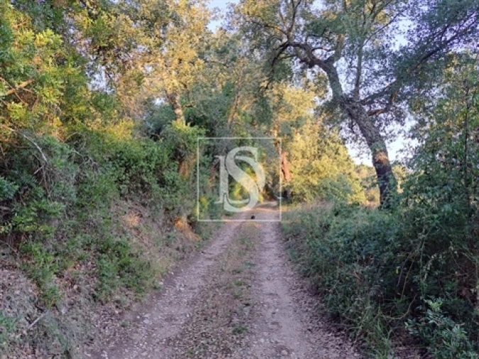 Terreno para Venda em Olaia e Paço Foto 9