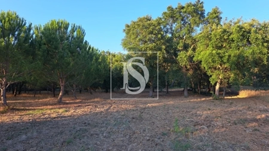 Terreno para Venda em Olaia e Paço