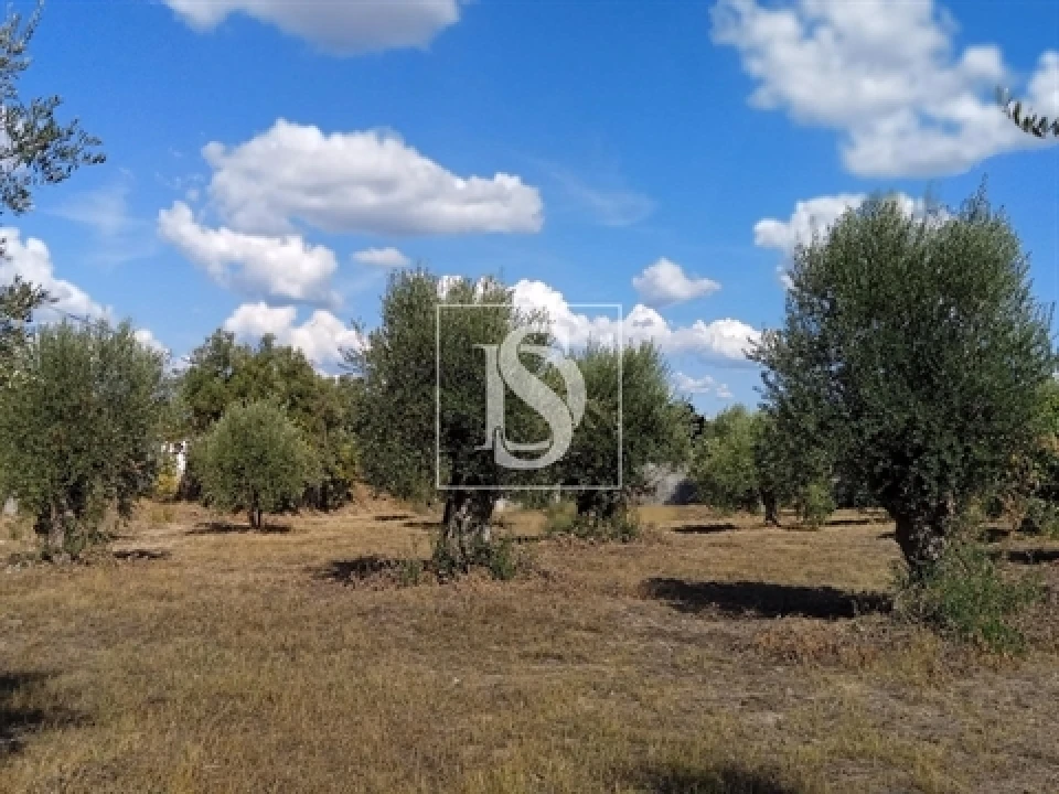 Terreno para Venda em Olaia e Paço Foto 5