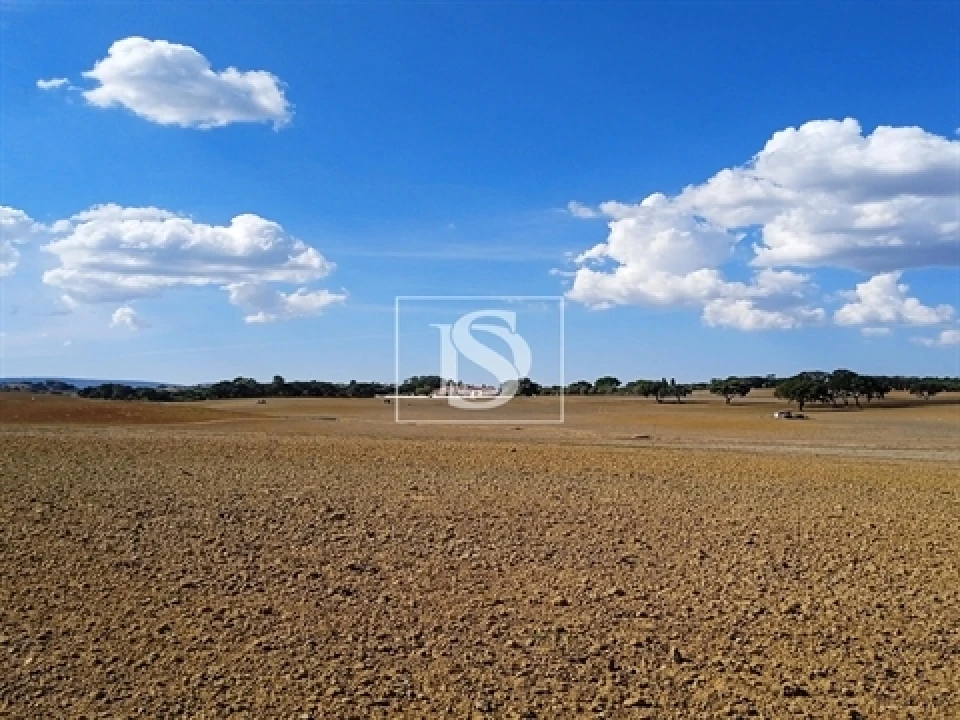 Terreno para Venda em Olaia e Paço Foto 7