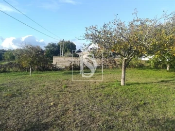 Terreno para Venda em São João Baptista e Santa Maria dos Olivais