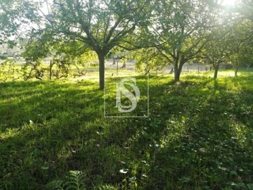 Terreno para Venda em São João Baptista e Santa Maria dos Olivais