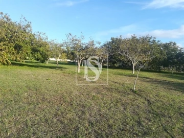 Terreno para Venda em São João Baptista e Santa Maria dos Olivais