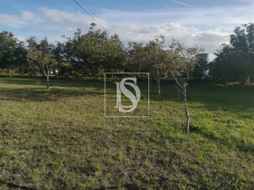 Terreno para Venda em São João Baptista e Santa Maria dos Olivais