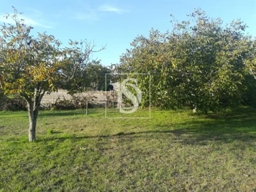 Terreno para Venda em São João Baptista e Santa Maria dos Olivais