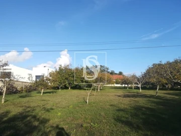 Terreno para Venda em São João Baptista e Santa Maria dos Olivais