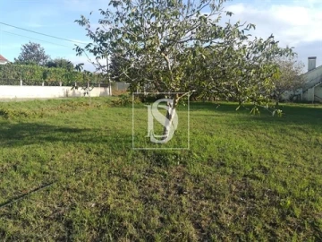 Terreno para Venda em São João Baptista e Santa Maria dos Olivais