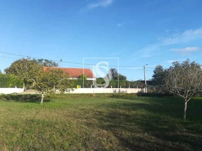 Terreno para Venda em São João Baptista e Santa Maria dos Olivais Foto 11