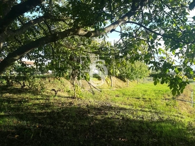 Terreno para Venda em São João Baptista e Santa Maria dos Olivais Foto 16