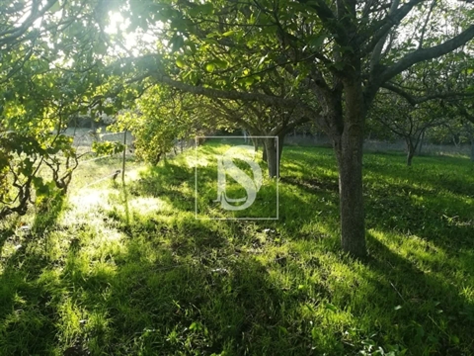 Terreno para Venda em São João Baptista e Santa Maria dos Olivais Foto 2