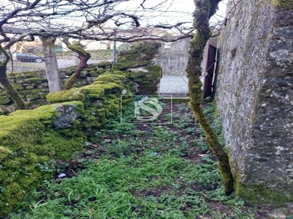 Moradia T3 para Venda em Cambra e Carvalhal de Vermilhas Foto 11