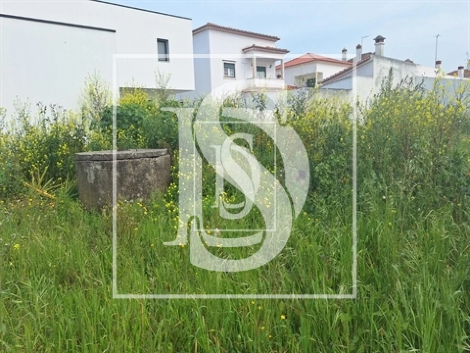 Terreno para Venda em Riachos Foto 7