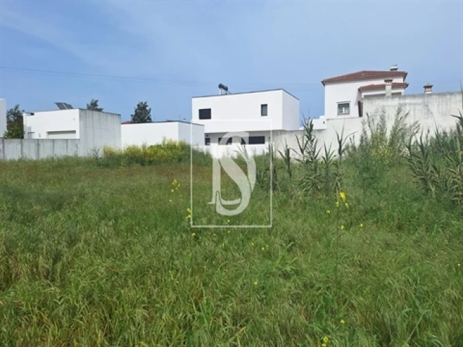 Terreno para Venda em Riachos