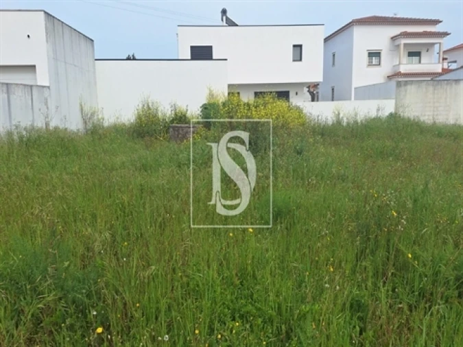 Terreno para Venda em Riachos Foto 6
