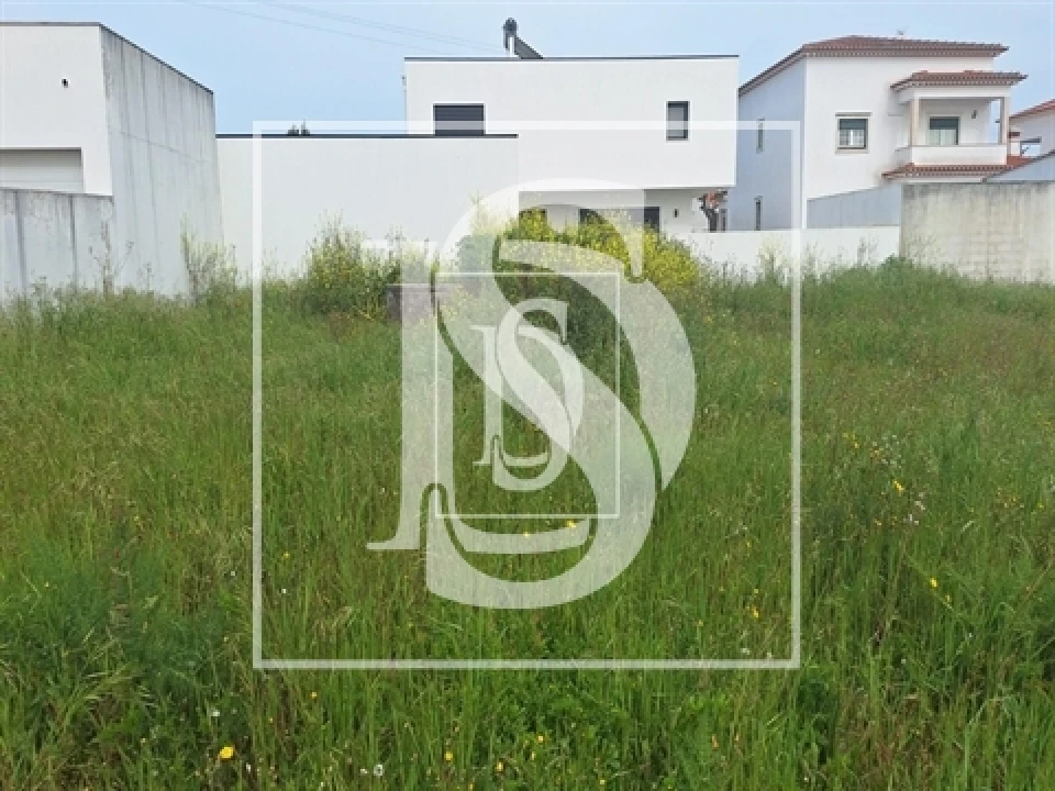 Terreno para Venda em Riachos Foto 6