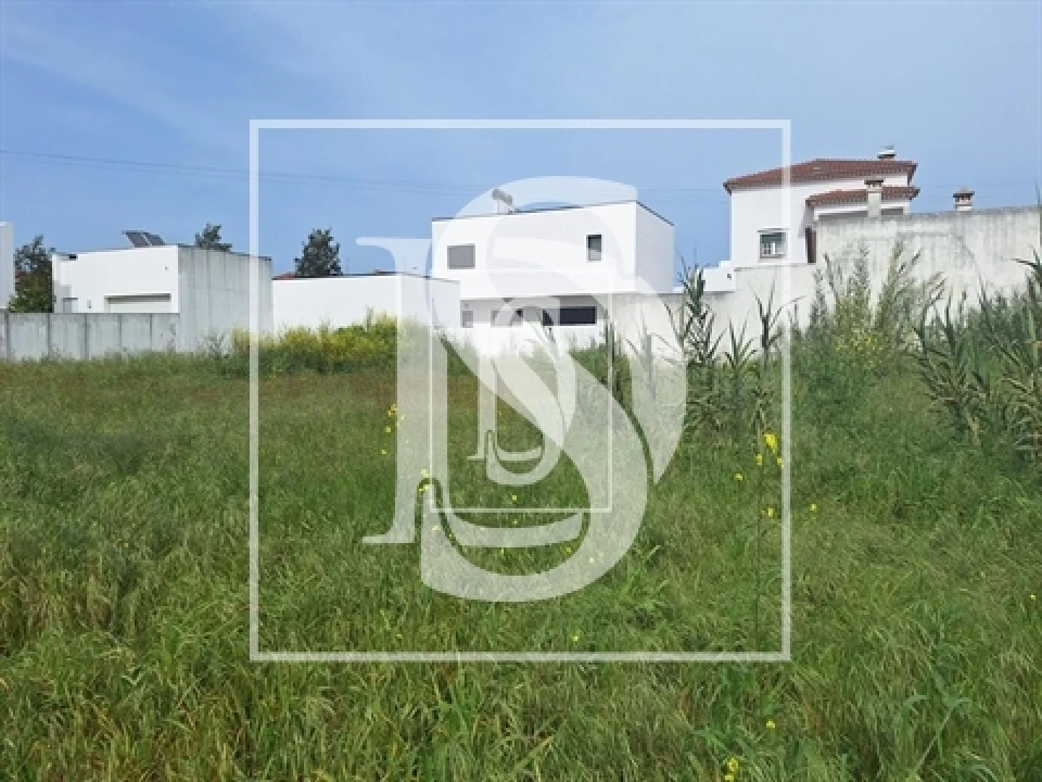 Terreno para Venda em Riachos Foto 5