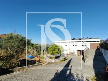 Armazém para Venda em Riachos