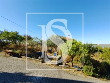 Armazém para Venda em Riachos