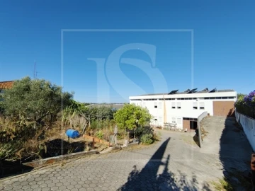 Armazém para Venda em Riachos