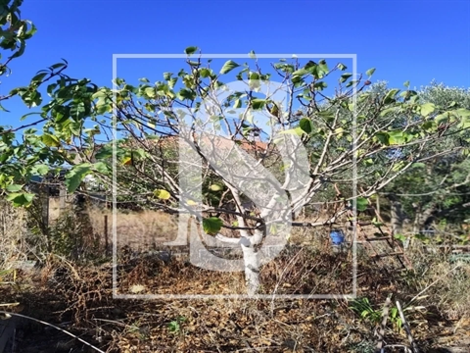 Armazém para Venda em Riachos Foto 9