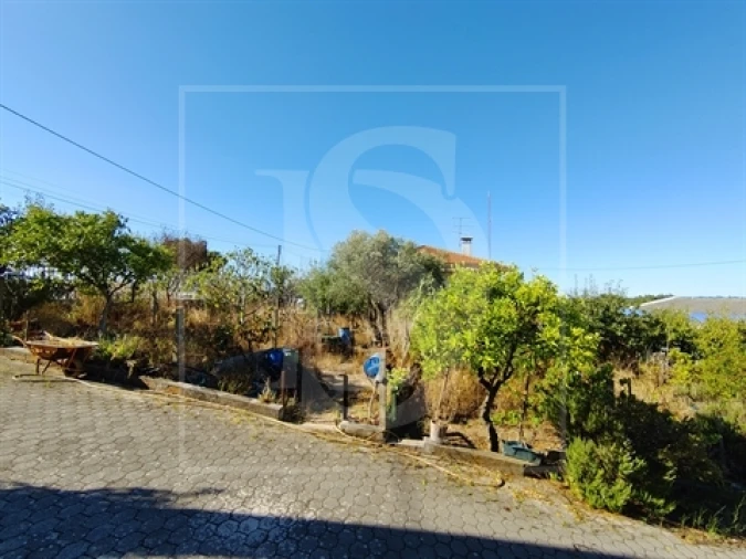 Armazém para Venda em Riachos Foto 7