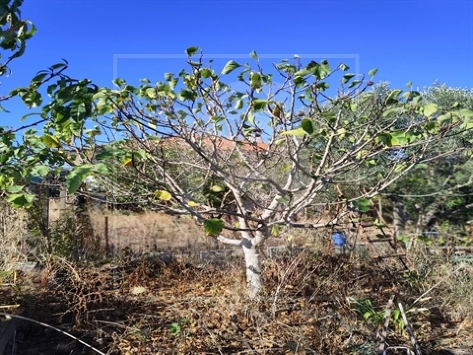 Armazém para Venda em Riachos Foto 9