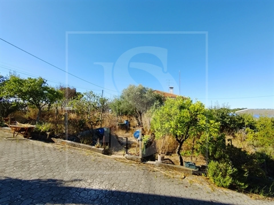 Armazém para Venda em Riachos Foto 7