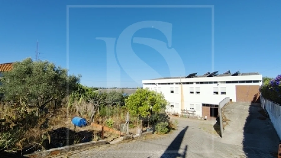 Armazém para Venda em Riachos