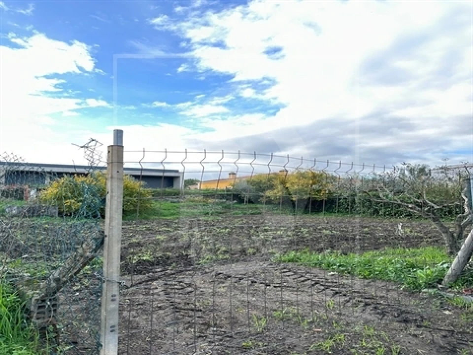 Terreno para Venda em Alvega e Concavada Foto 12