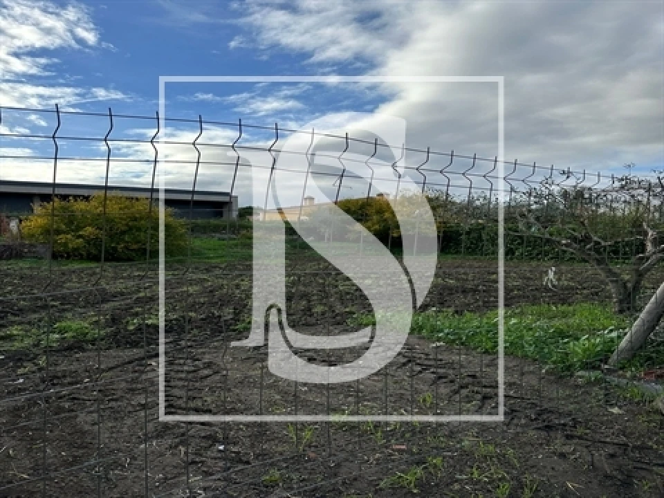 Terreno para Venda em Alvega e Concavada Foto 13