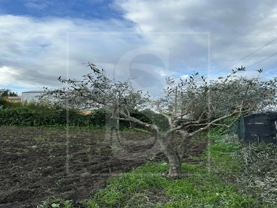 Terreno para Venda em Alvega e Concavada Foto 9
