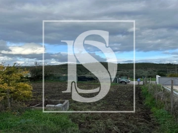 Terreno para Venda em Alvega e Concavada