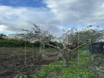 Terreno para Venda em Alvega e Concavada