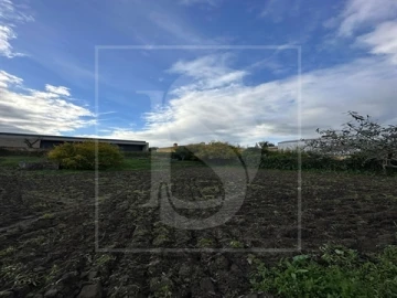 Terreno para Venda em Alvega e Concavada