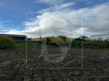 Terreno para Venda em Alvega e Concavada