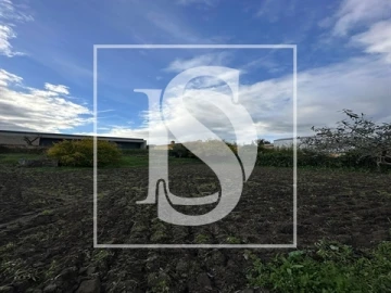 Terreno para Venda em Alvega e Concavada