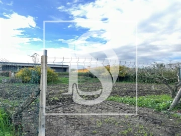 Terreno para Venda em Alvega e Concavada