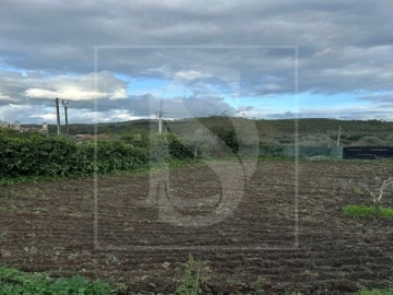 Terreno para Venda em Alvega e Concavada