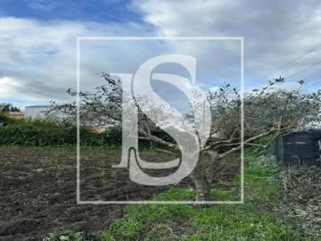 Terreno para Venda em Alvega e Concavada