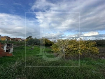 Terreno para Venda em Alvega e Concavada