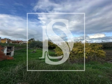 Terreno para Venda em Alvega e Concavada