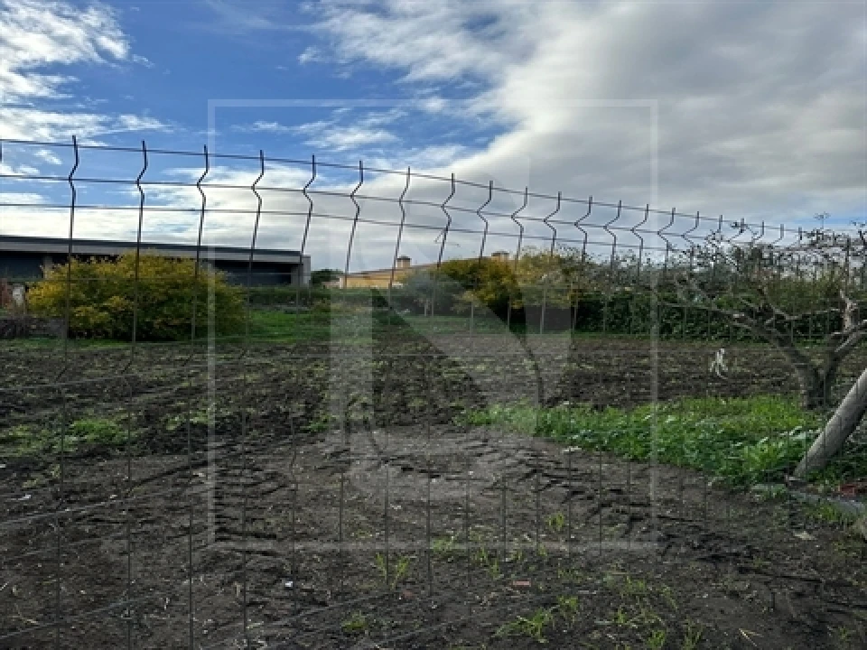 Terreno para Venda em Alvega e Concavada Foto 13