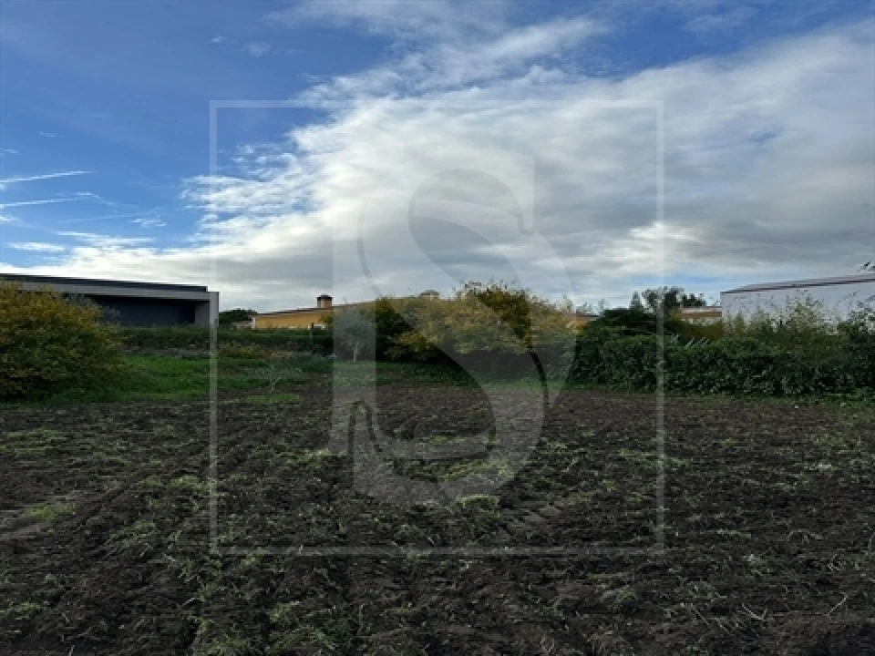 Terreno para Venda em Alvega e Concavada Foto 3